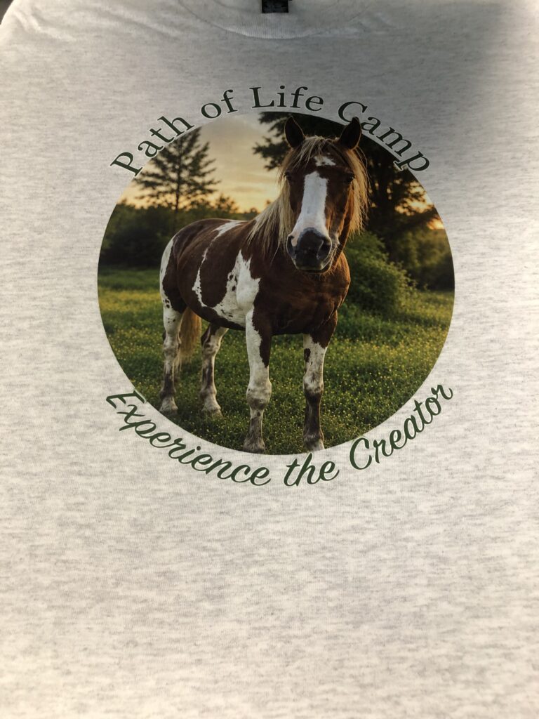 Path of Life Camp horse photo printed on a custom shirt