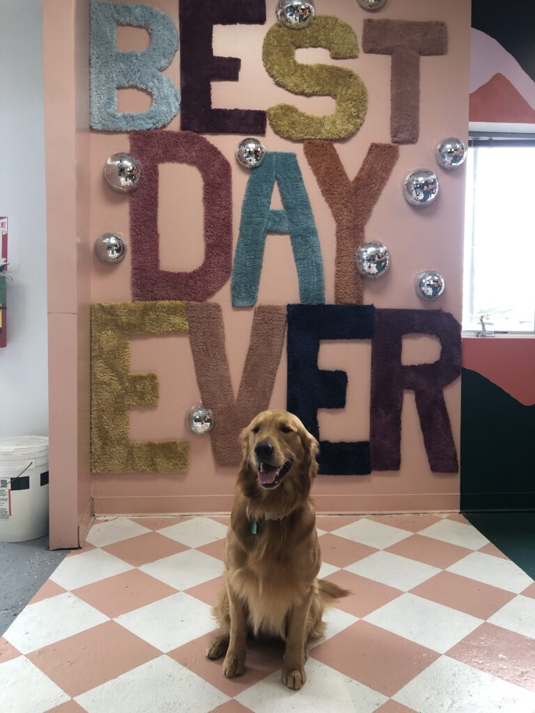 Best Day Ever selfie station at NuWaka with a golden retriever